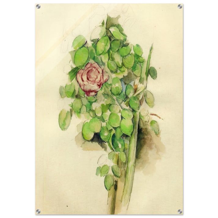 Rose Bush - Paul Cézanne Acrylic Print - 70x100 cm / 28x40″ inches