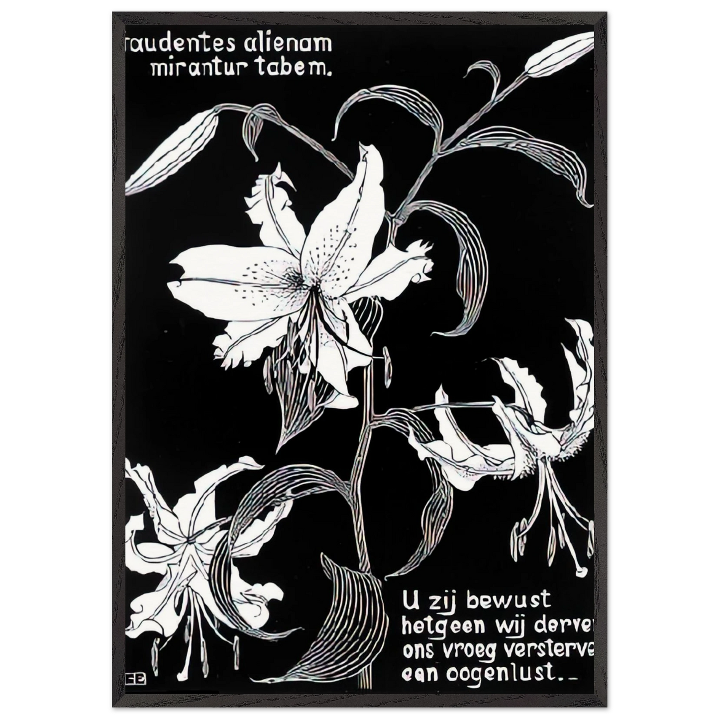 Flowers N2 - MC Escher Framed Art Print – Black Wooden Frame - Default Title - -Framed Art Print