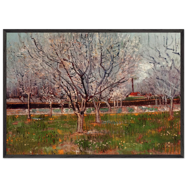 Orchard in Blossom Plum Trees - Vincent van Gogh 70x100 cm / 28x40 inches Framed Art Print – Black Wooden Frame