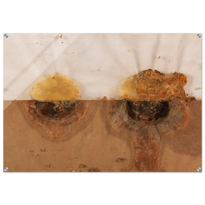 Small Landscape - 1968 - Dieter Roth Acrylic Print - 70x100 cm / 28x40″ inches