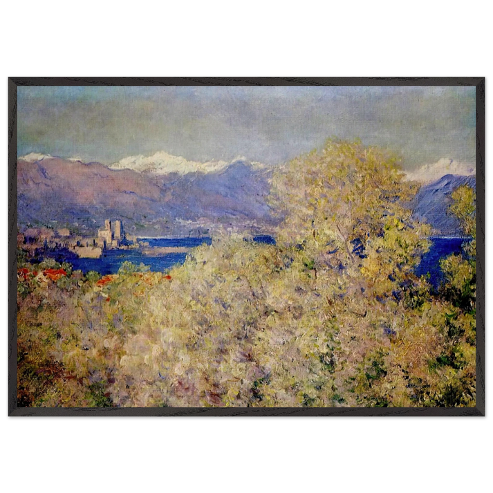 Antibes - View of the Salis Gardens - claude monet 70x100 cm / 28x40 inches Framed Art Print – Black Wooden Frame