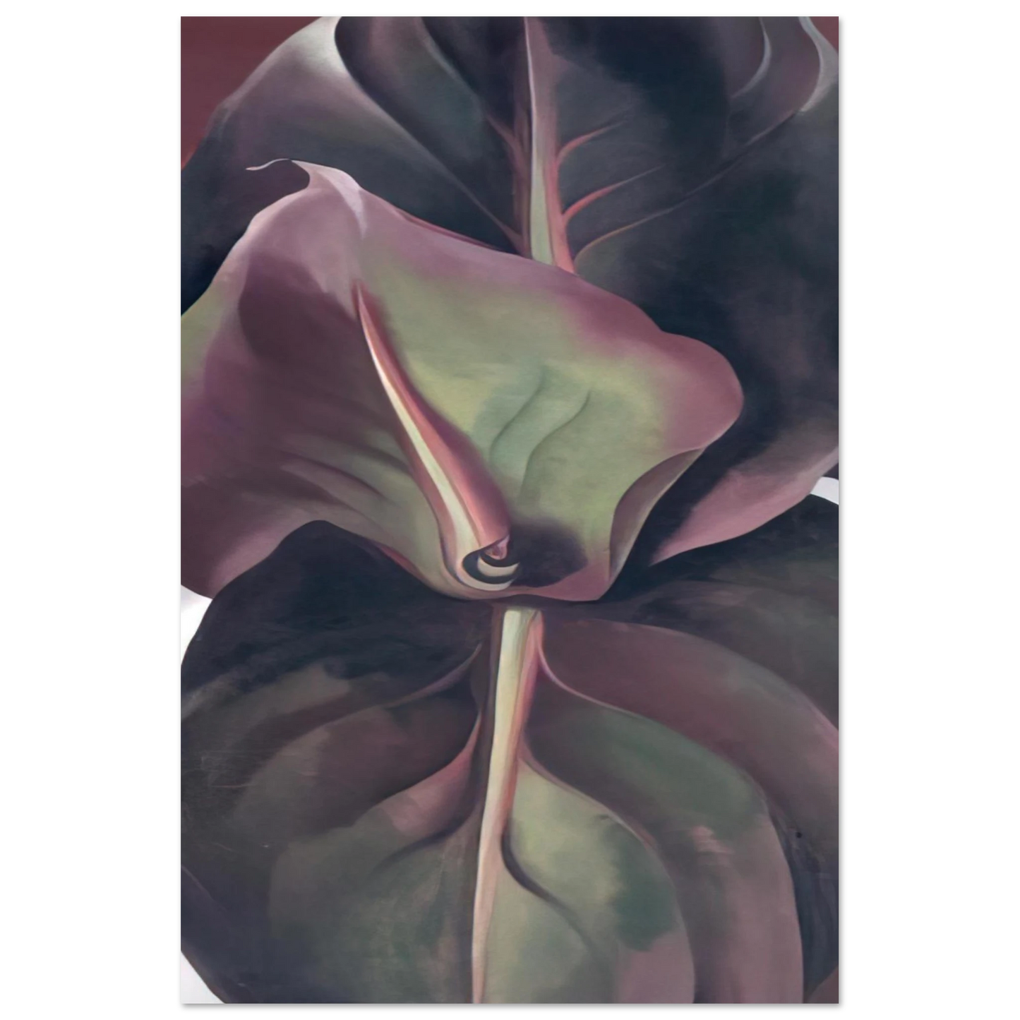Georgia O'Keeffe - Canna Leaves Fine Art Poster - 75x100 cm / 30x40 inches