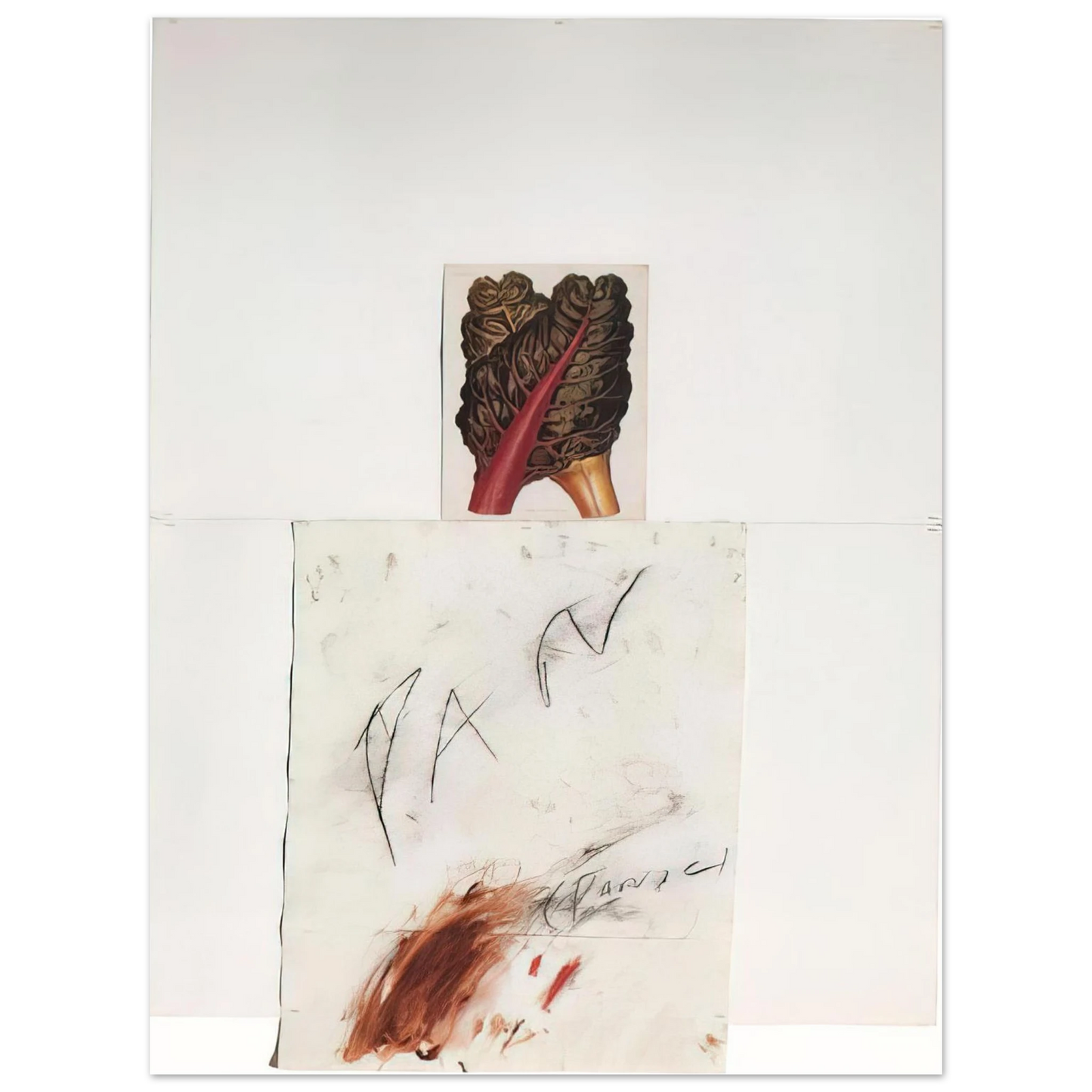 Cy Twombly - Pan Fine Art Poster - Default Title