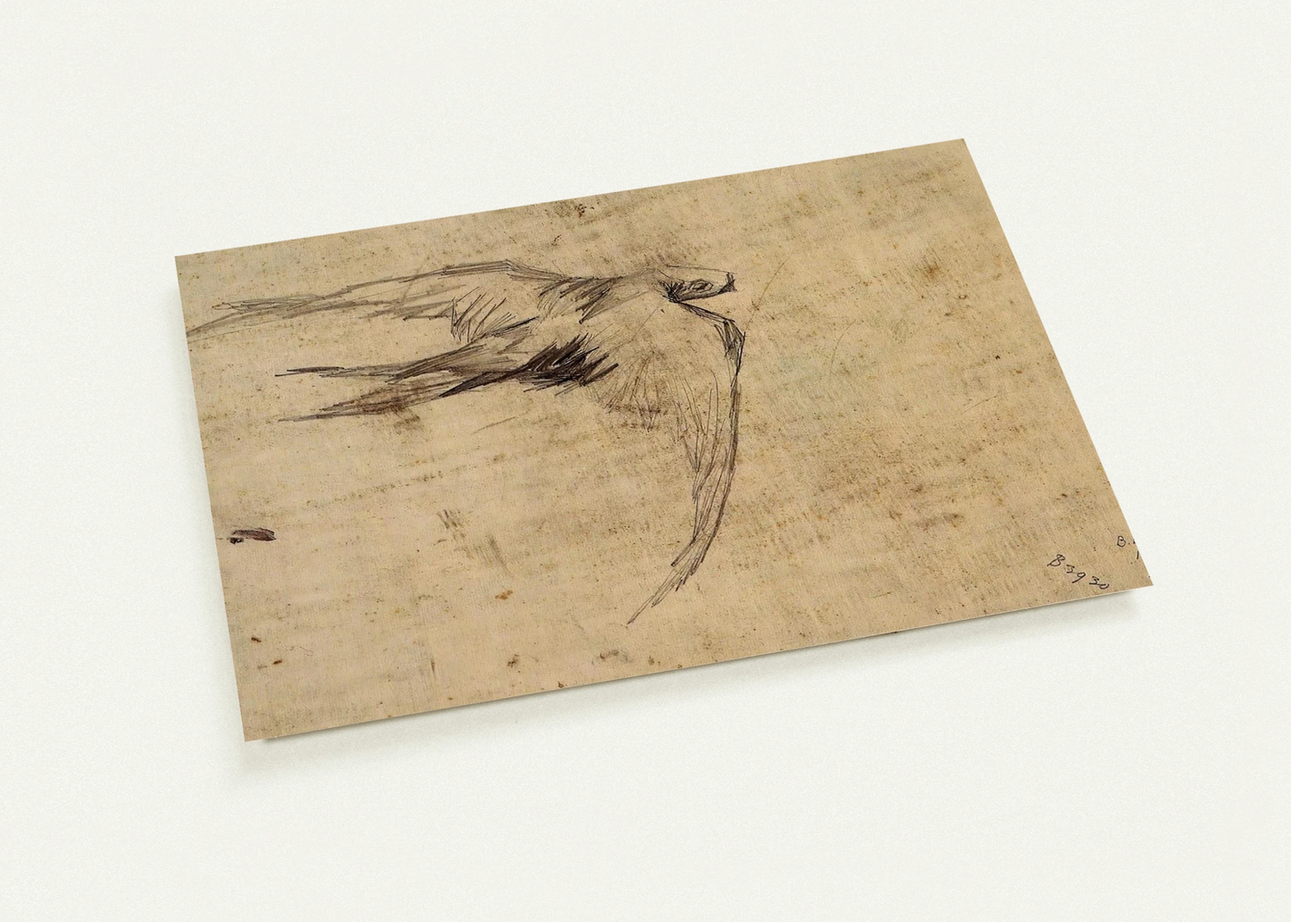 04af6c79-6f86-4702-a562-32fe3d3a834d