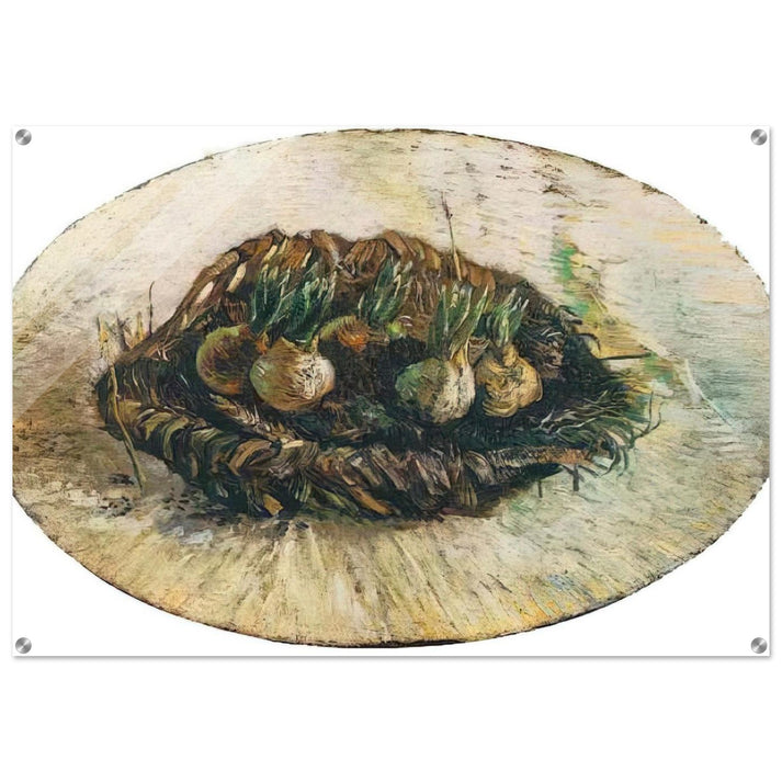 Basket of Sprouting Bulbs - Vincent van Gogh Acrylic Print - 70x100 cm / 28x40″ inches