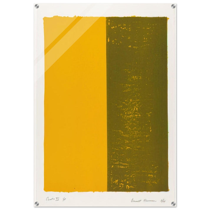 Canto XIII - Barnett Newman Acrylic Print - 70x100 cm / 28x40″ inches