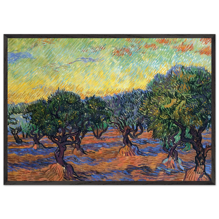 Olive Grove - Orange Sky - Vincent van Gogh 70x100 cm / 28x40 inches Framed Art Print – Black Wooden Frame