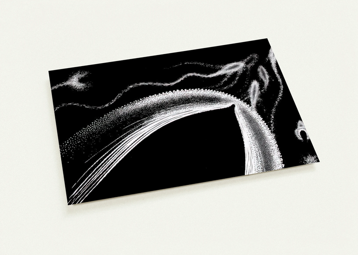 DOLPHINS By MC Escher Pack of 10 Post Cards | MC Escher Post Cards | A6 (10.5 x 14.8 cm) - 4.1 x 5.8 inches