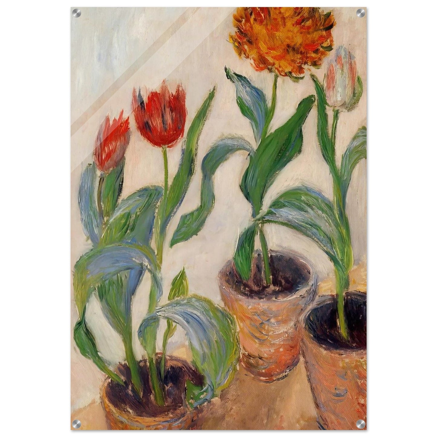 Three Pots of Tulips - claude monet Acrylic Print - 70x100 cm / 28x40″ inches | claude monet Wall Art | claude monet Prints
