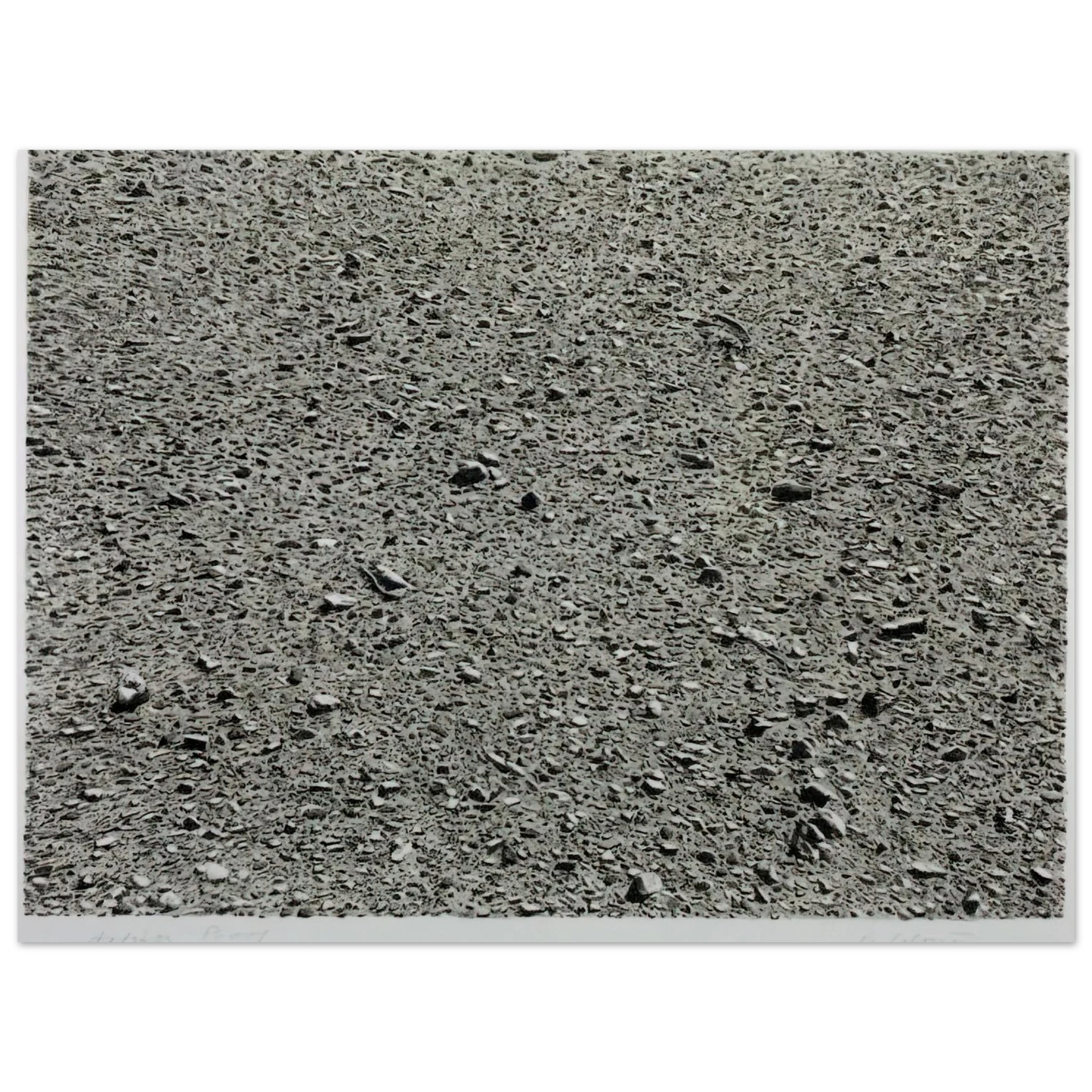 Vija Celmins - DESERT 1975 Fine Art Poster - Default Title