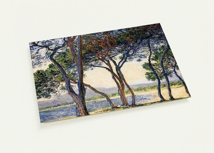 0949126d-dea2-4e54-b209-4c1448ffe684