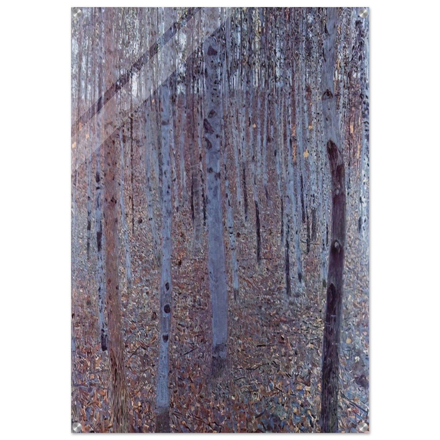 BUCHENHAIN - Gustav Klimt Acrylic Print - 70x100 cm / 28x40″ inches