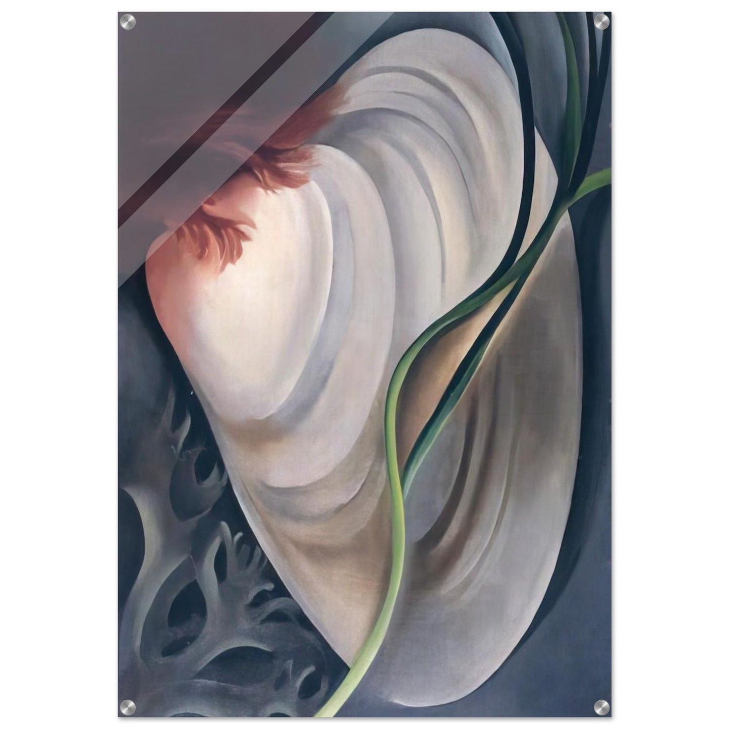 Shell No 2 - Georgia O'Keeffe Acrylic Print - 70x100 cm / 28x40″ inches
