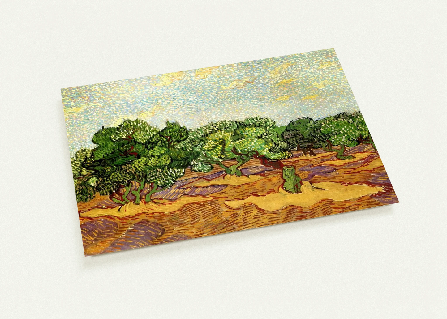 Olive Grove - Pale Blue Sky By Vincent van Gogh Pack of 10 Post Cards | Vincent van Gogh Post Cards | A6 (10.5 x 14.8 cm) - 4.1 x 5.8 inches