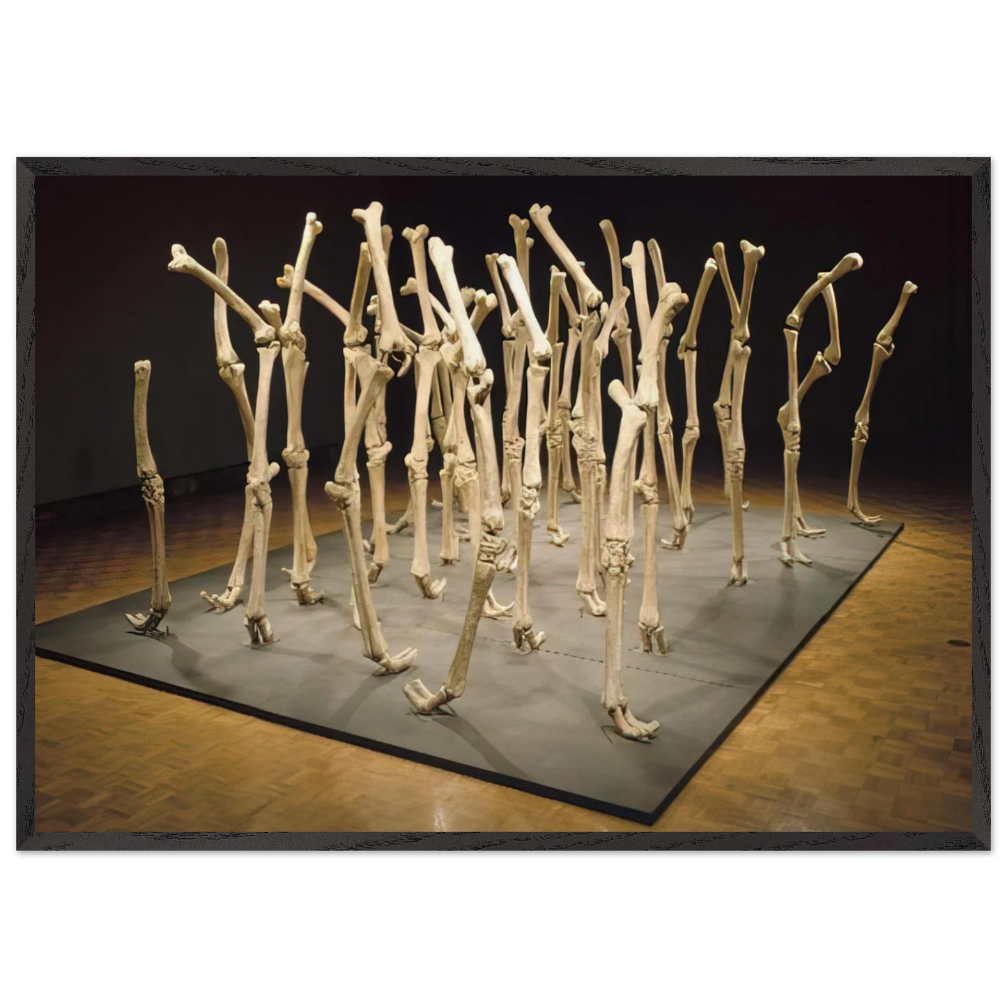 VARIABILITY OF SIMILAR FORMS 1970 - Nancy Graves Framed Art Print – Black Wooden Frame - Default Title - -Framed Art Print