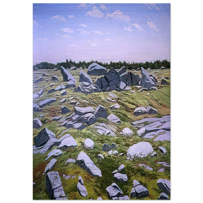 Midday Barren - 1983 - Neil Welliver Brushed Aluminum Print - 70x100 cm / 28x40 inches | Neil Welliver Aluminum Print | Neil Welliver Prints