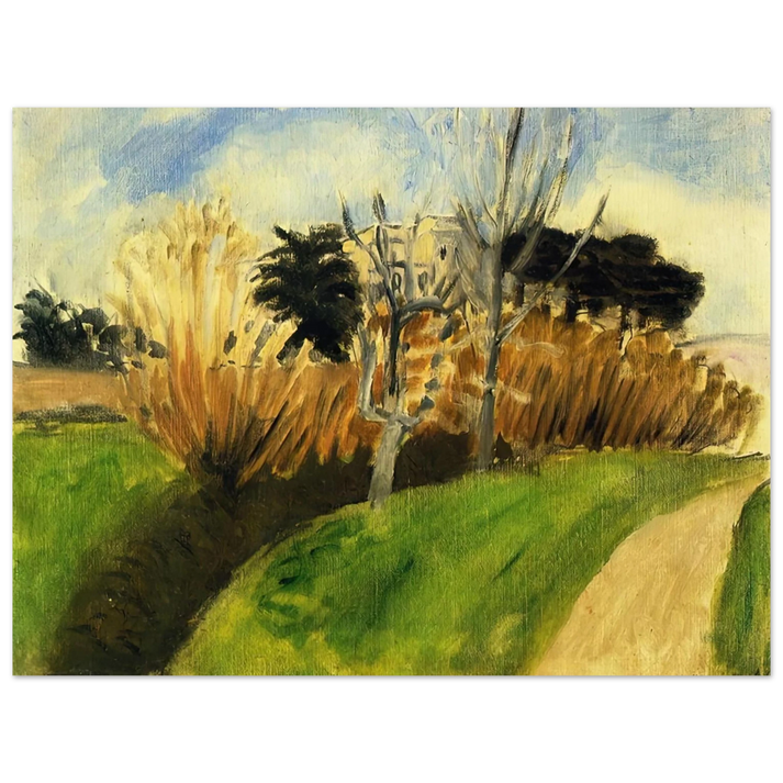 Henri Matisse - THE STREAM NEAR NICE 75x100 cm / 30x40inches Fine Art Poster