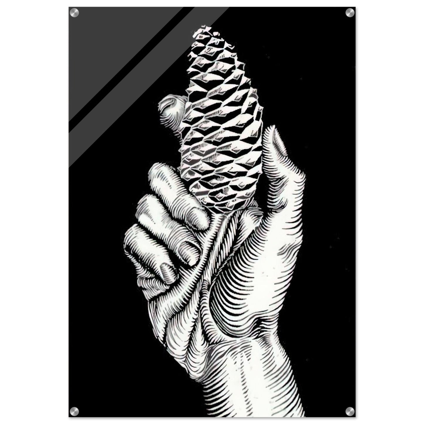 HAND WITH FIR CONE - MC Escher Acrylic Print - 70x100 cm / 28x40″ inches | MC Escher Wall Art | MC Escher Prints
