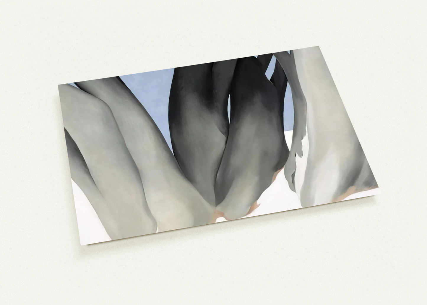 Bare Tree Trunks with Snow By Georgia O'Keeffe Pack of 10 Post Cards | Georgia O'Keeffe Post Cards | A6 (10.5 x 14.8 cm) - 4.1 x 5.8 inches