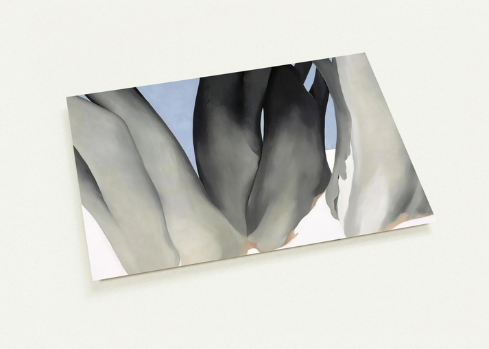 Bare Tree Trunks with Snow By Georgia O'Keeffe Pack of 10 Post Cards | Georgia O'Keeffe Post Cards | A6 (10.5 x 14.8 cm) - 4.1 x 5.8 inches