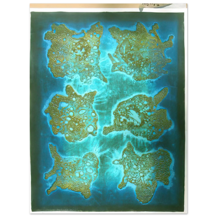 Hiroyuki Tajima - Dried Flowers - 1964 75x100 cm / 30x40inches Fine Art Poster