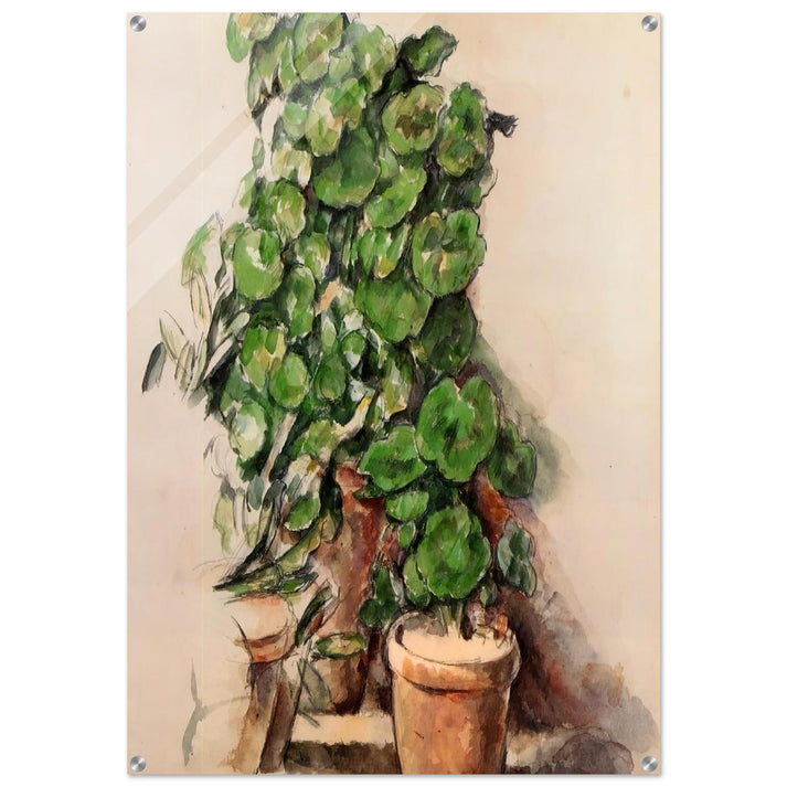 Pots of Geraniums - Paul Cézanne Acrylic Print - 70x100 cm / 28x40″ inches | Paul Cézanne Wall Art | Paul Cézanne Prints