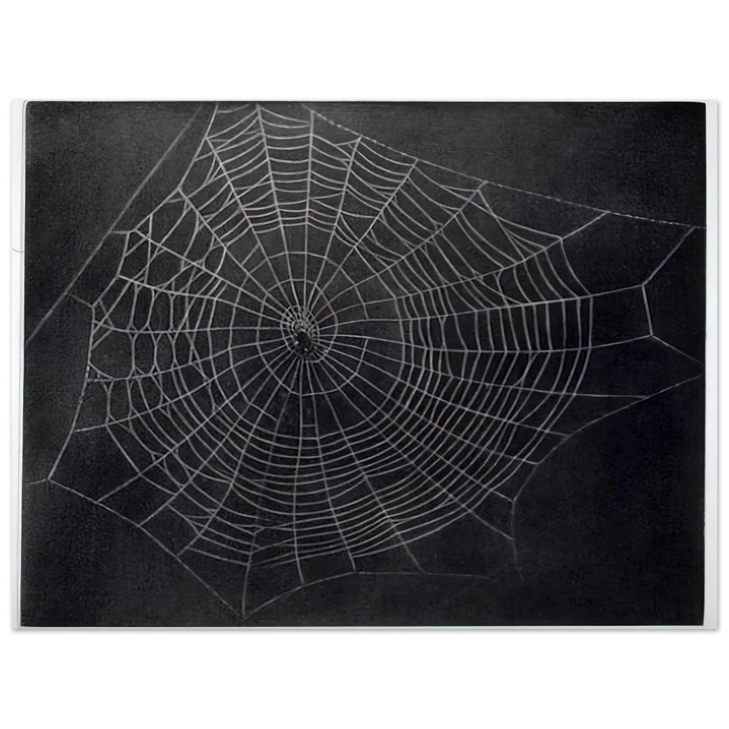 Vija Celmins - UNTITLED SPIDER WEB 2000 Fine Art Poster - Default Title