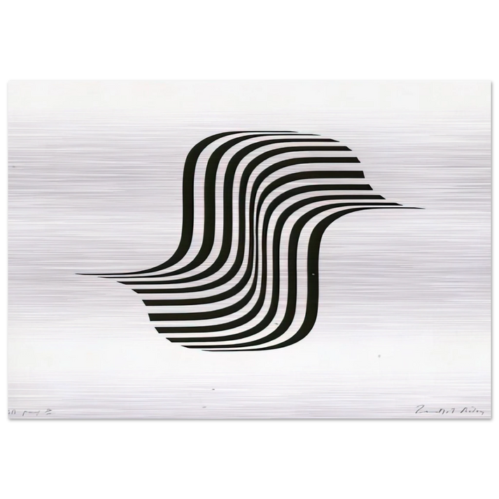 UNTITLED WINGED CURVE 1966 - Bridget Riley Brushed Aluminum Print - 70x100 cm / 28x40 inches | Bridget Riley Aluminum Print | Bridget Riley Prints