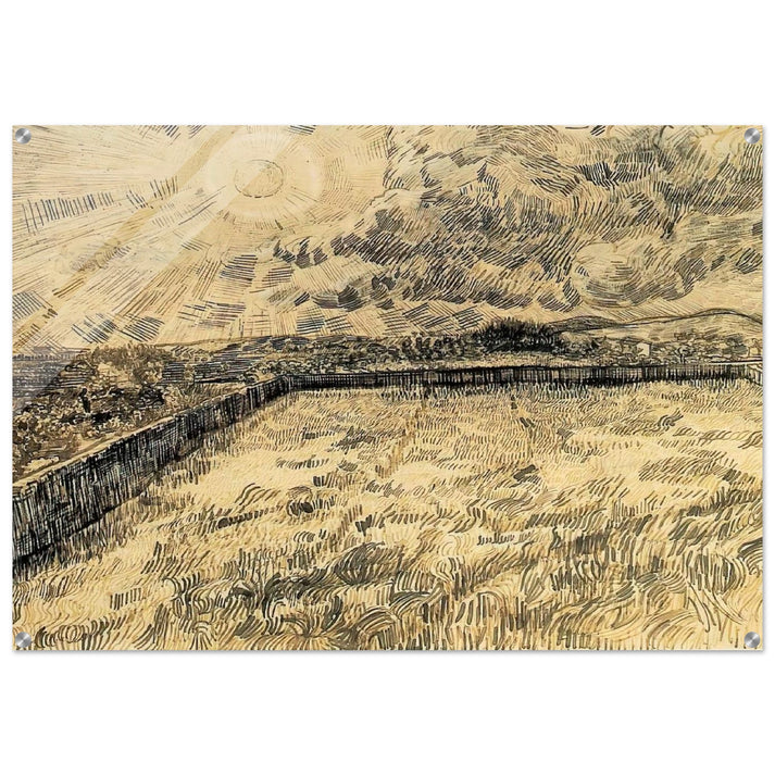 Wheat field with sun and cloud - Vincent van Gogh Acrylic Print - 70x100 cm / 28x40″ inches
