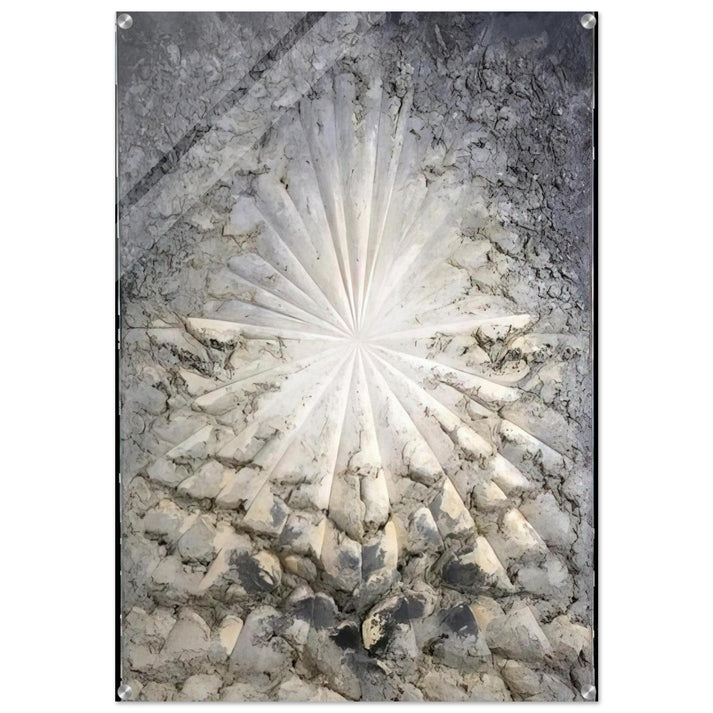 Jay DeFeo/BIG/The Rose - Jay DeFeo Acrylic Print - 70x100 cm / 28x40″ inches