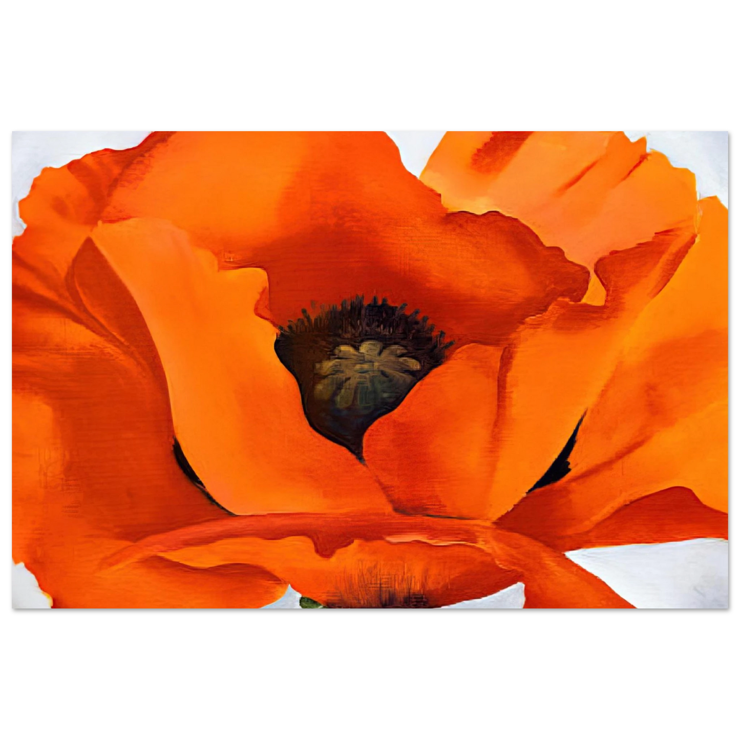 Georgia O'Keeffe - Red Poppy Fine Art Poster - 75x100 cm / 30x40 inches