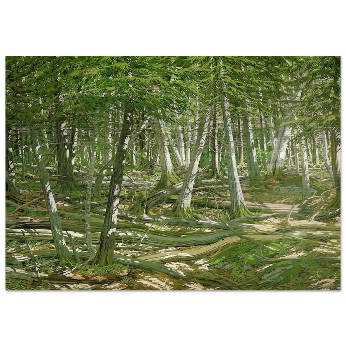 Old Windfall - 1982 - Neil Welliver Brushed Aluminum Print - 70x100 cm / 28x40 inches | Neil Welliver Aluminum Print | Neil Welliver Prints