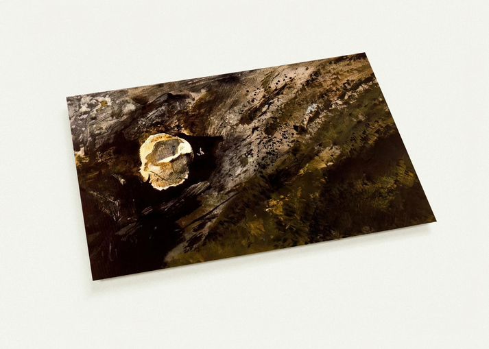 INLAND SHELL By Andrew Wyeth Pack of 10 Post Cards | Andrew Wyeth Post Cards | A6 (10.5 x 14.8 cm) - 4.1 x 5.8 inches