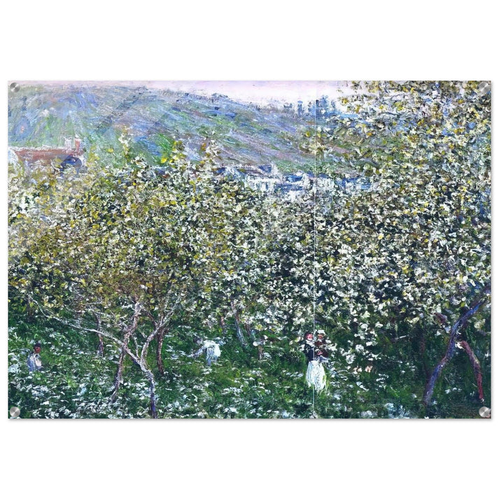 Vetheuil, Flowering Plum Trees - claude monet Acrylic Print - 70x100 cm / 28x40″ inches | claude monet Wall Art | claude monet Prints
