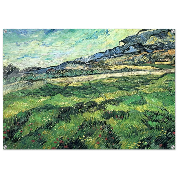 The Green Wheatfield behind the Asylum - Vincent van Gogh Acrylic Print - 70x100 cm / 28x40″ inches