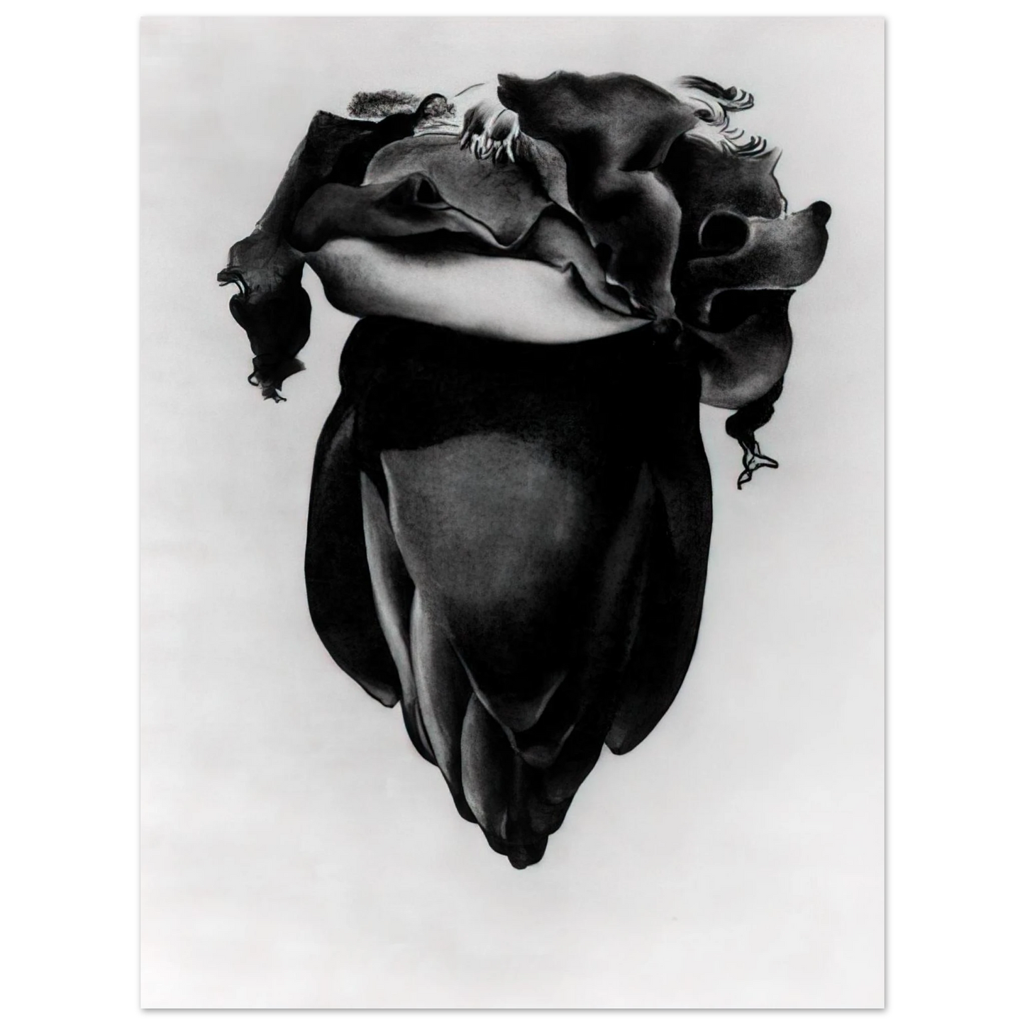 Georgia O'Keeffe - Banana Flower Fine Art Poster - 13x18 cm / 5x7 inches