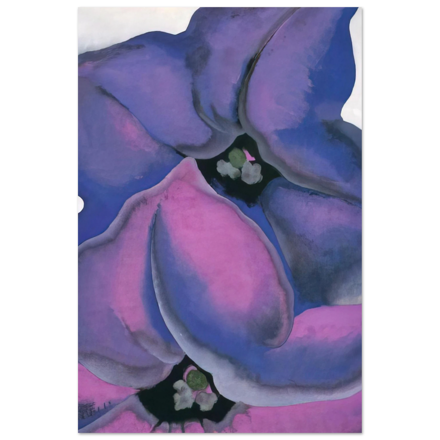 Georgia O'Keeffe - Purple Petunias Fine Art Poster - 75x100 cm / 30x40 inches