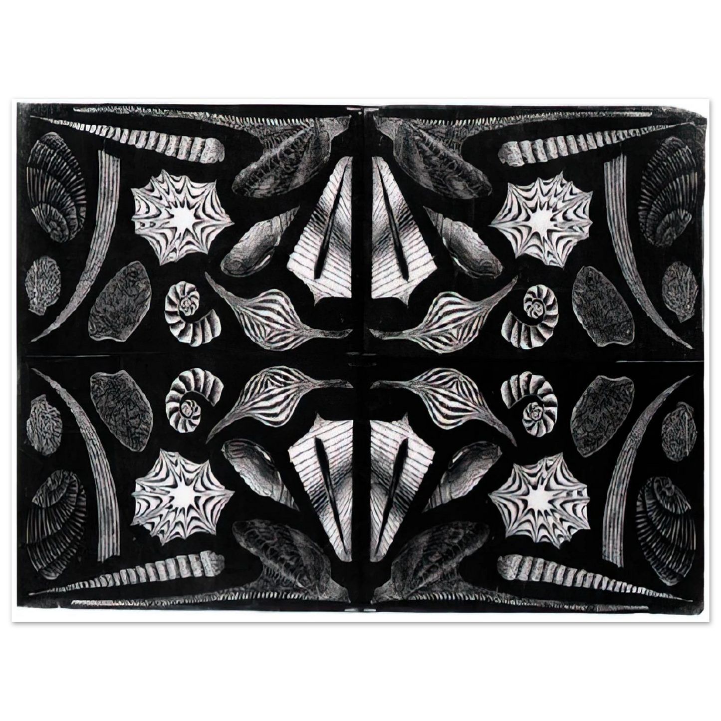MC Escher - ESCHER (5) Wall Art - 21x29.7 cm / 8x12" - Fine Art Poster - -