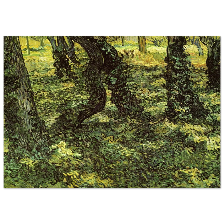 Trunks of Trees with Ivy - Vincent van Gogh Brushed Aluminum Print - 70x100 cm / 28x40 inches | Vincent van Gogh Aluminum Print | Vincent van Gogh Prints
