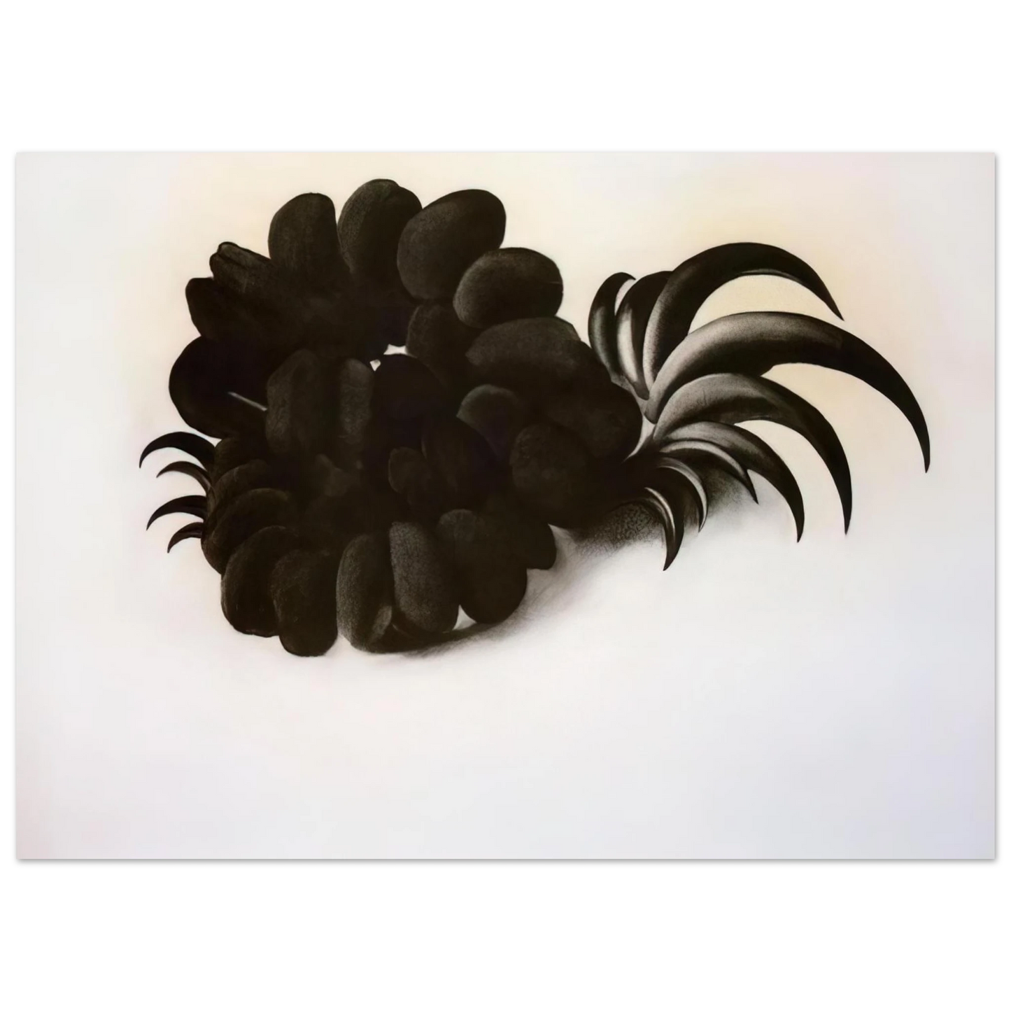 Georgia O'Keeffe - Eagle Claw and Bean Necklace Fine Art Poster - 75x100 cm / 30x40 inches