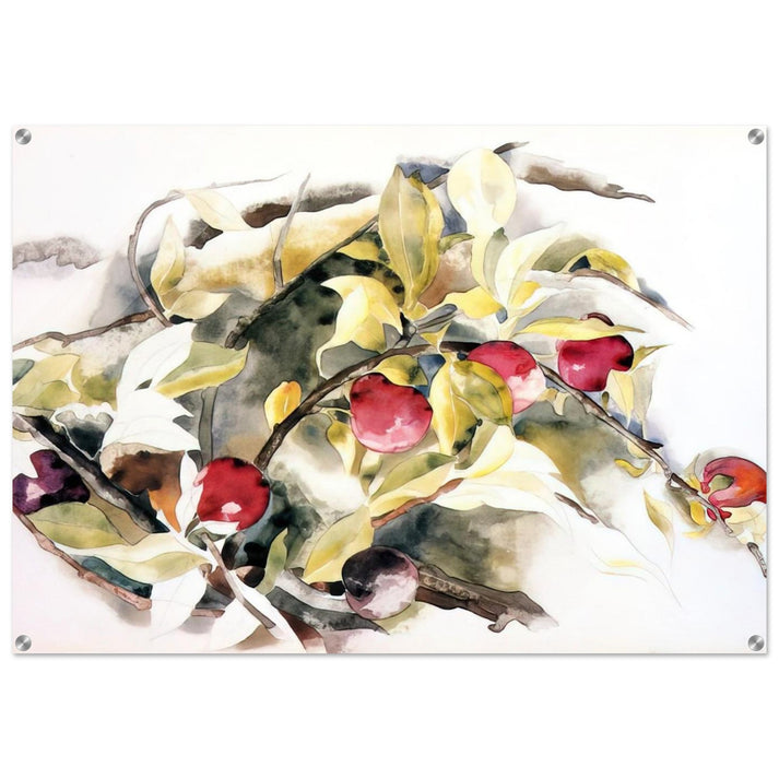 Plums - 1925 - Charles Demuth Acrylic Print - 70x100 cm / 28x40″ inches