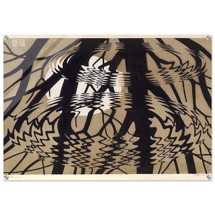 RIPPLED SURFACE COLOUR - MC Escher Acrylic Print - 70x100 cm / 28x40″ inches | Maurits Cornelis Escher Prints