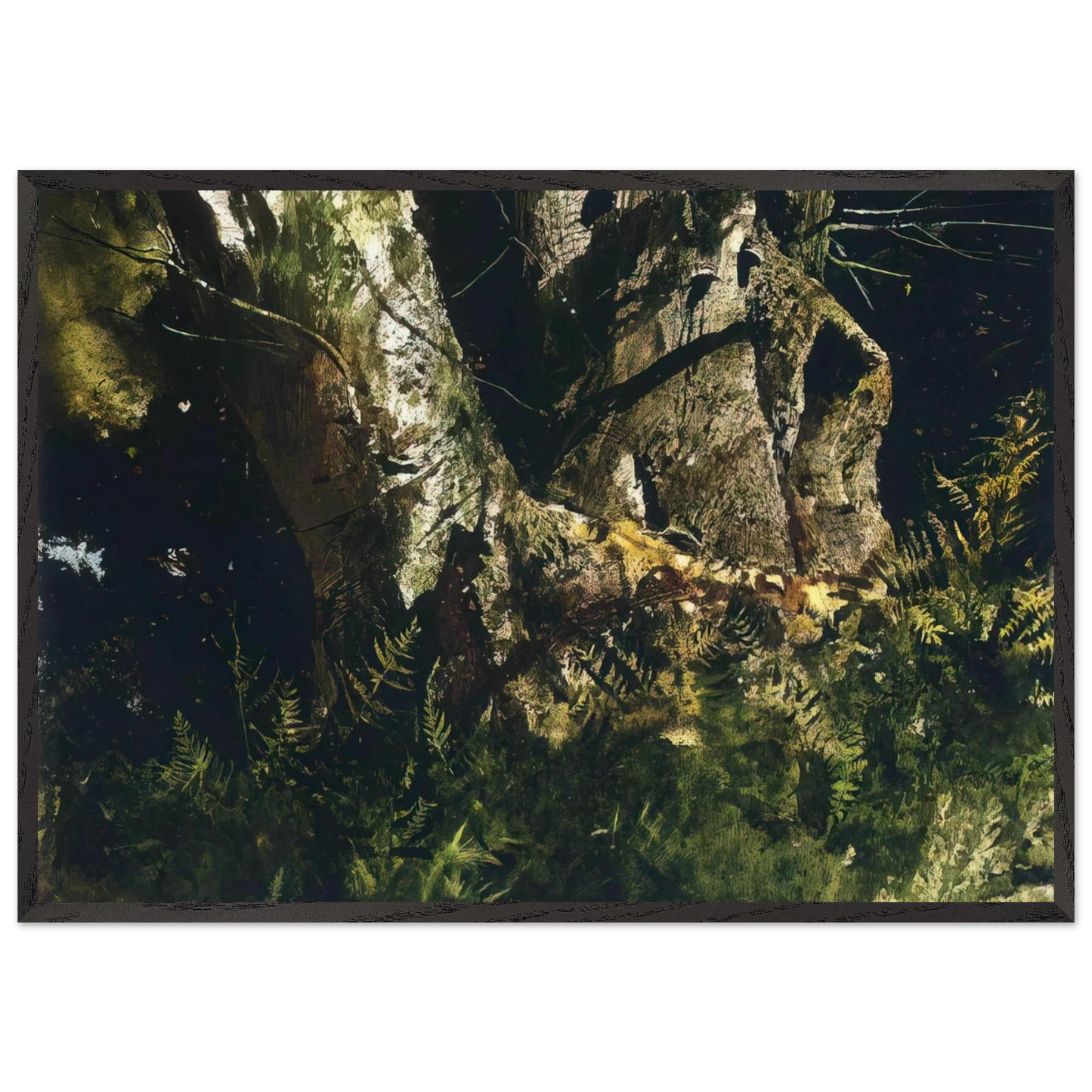 VIRGIN BIRCH 1982 - Andrew Wyeth Framed Art Print – Black Wooden Frame - Default Title - -Framed Art Print