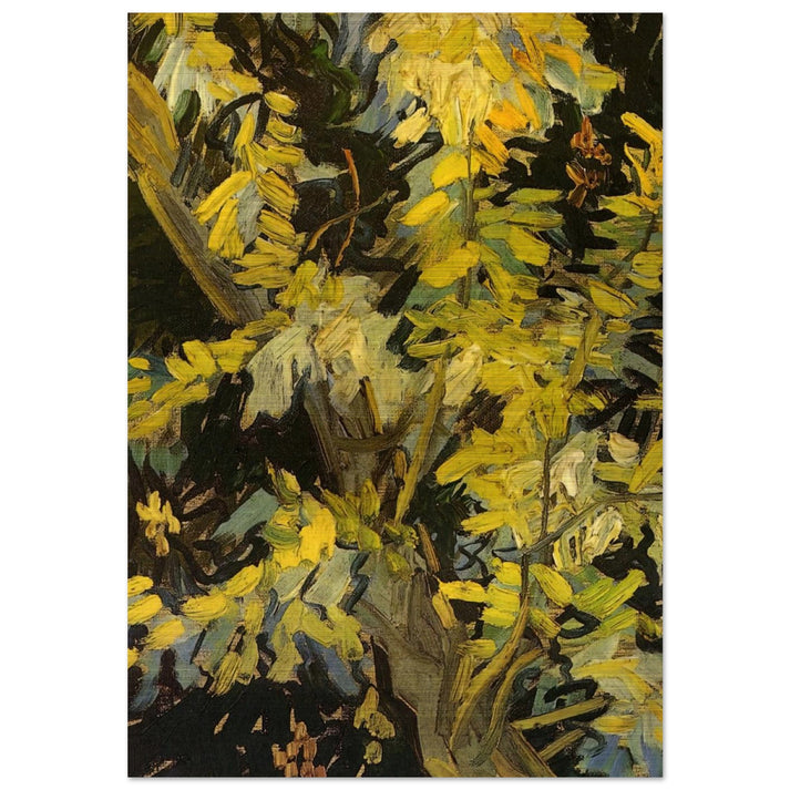 Blossoming Acacia Branches - Vincent van Gogh Brushed Aluminum Print - 70x100 cm / 28x40 inches | Vincent van Gogh Aluminum Print | Vincent van Gogh Prints