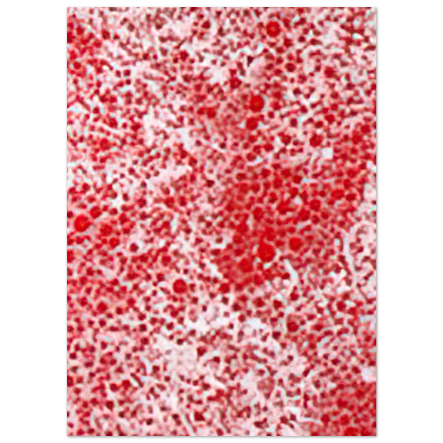 Yayoi Kusama - BEYOND THE END OF THE CENTURY 1987 Fine Art Poster - 40x60 cm / 16x24 inches
