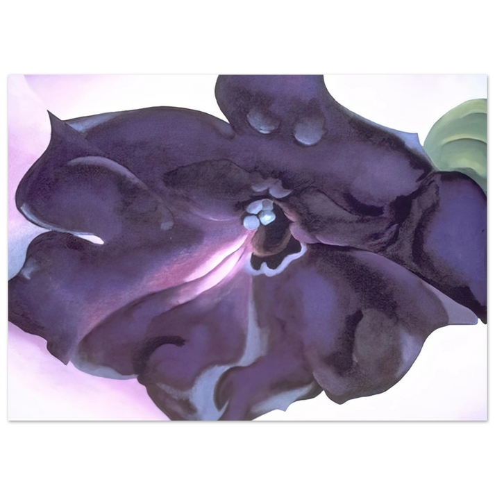 Georgia O'Keeffe - Petunia Fine Art Poster