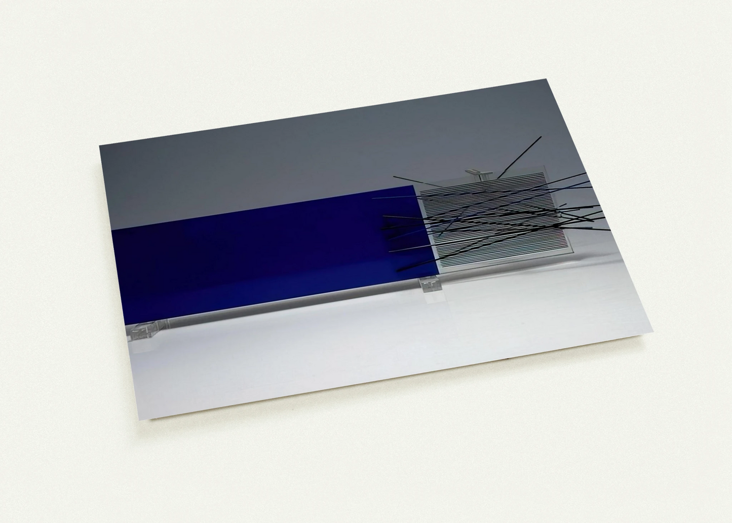 29e56997-153c-4c87-b462-6b5af993100a