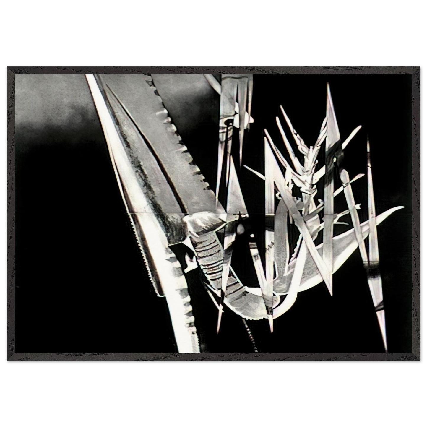 The Prickly Dark - James Rosenquist Framed Art Print – Black Wooden Frame - Default Title - -Framed Art Print