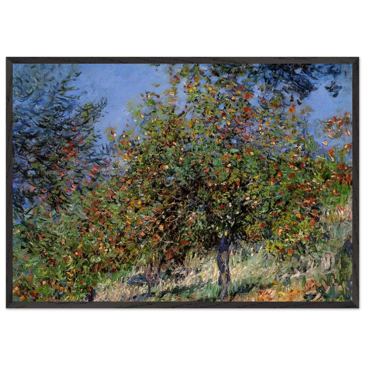 Apple Trees on the Chantemesle Hill - claude monet 70x100 cm / 28x40 inches Framed Art Print – Black Wooden Frame