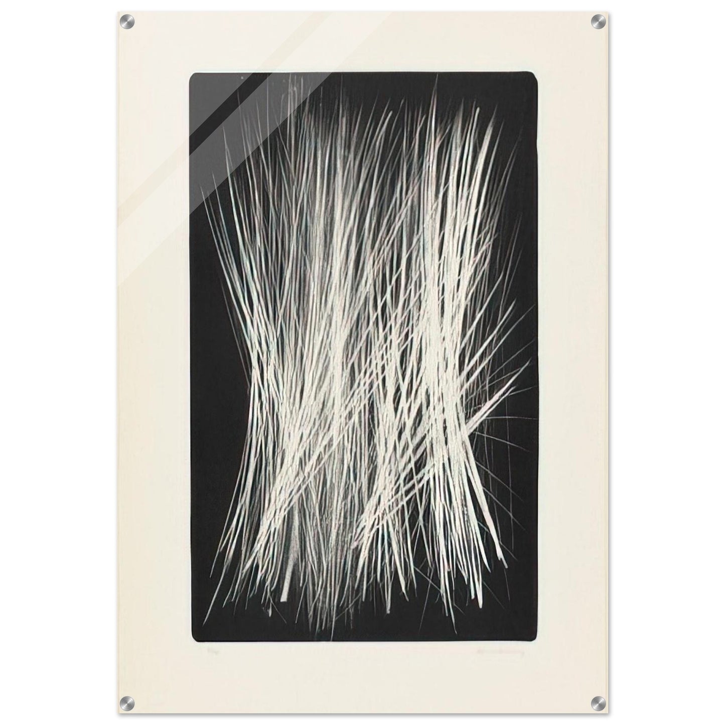 2c55c501-2152-4c4f-b6f5-ea3a4bd5b4c1